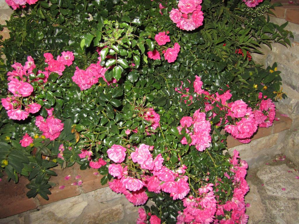 Agriturismo Borghetto Il Montino 라폴라노테르메 외부 사진