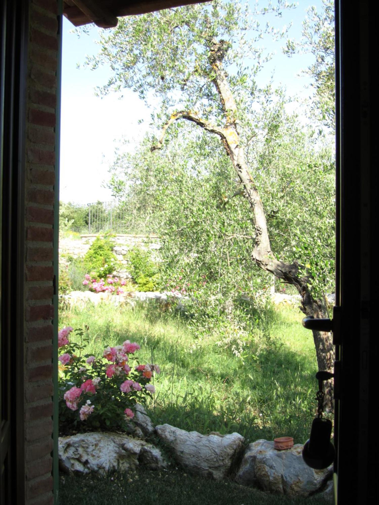 Agriturismo Borghetto Il Montino 라폴라노테르메 외부 사진