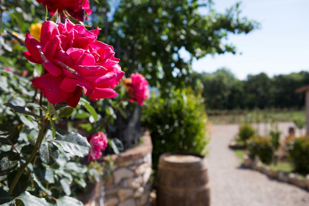 Agriturismo Borghetto Il Montino 라폴라노테르메 외부 사진