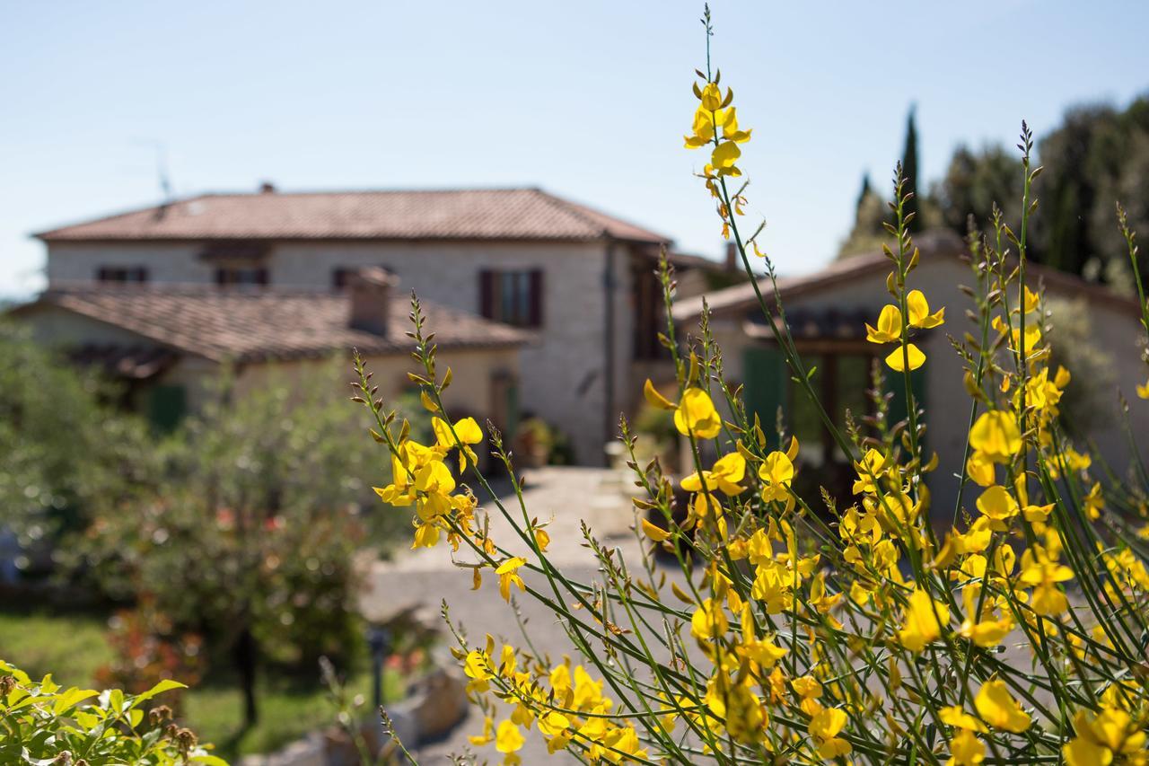 Agriturismo Borghetto Il Montino 라폴라노테르메 외부 사진